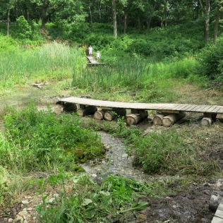 The end of the deck makes a fine viewing platform for the surrounding springs.